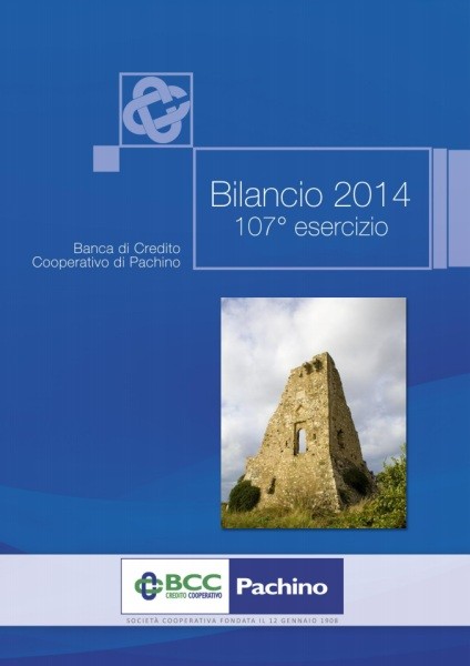 Cover Bilancio 2014